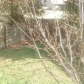 670 Danby Woods Dr, Lexington, KY 40509 ID:265005