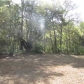 942 Bradford Ave, Charleston, SC 29412 ID:226750