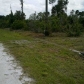 6011 Susan Ave N, Lehigh Acres, FL 33971 ID:314002