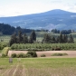 Lot 3 Thomsen Road, Hood River, OR 97031 ID:397507