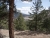 South Fork, CO South Fork, CO 81154