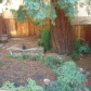 4419 Tulip Ave, Oakland, CA 94619 ID:87066