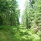 6 Acres Hansen Road, Sayner, WI 54560 ID:299990