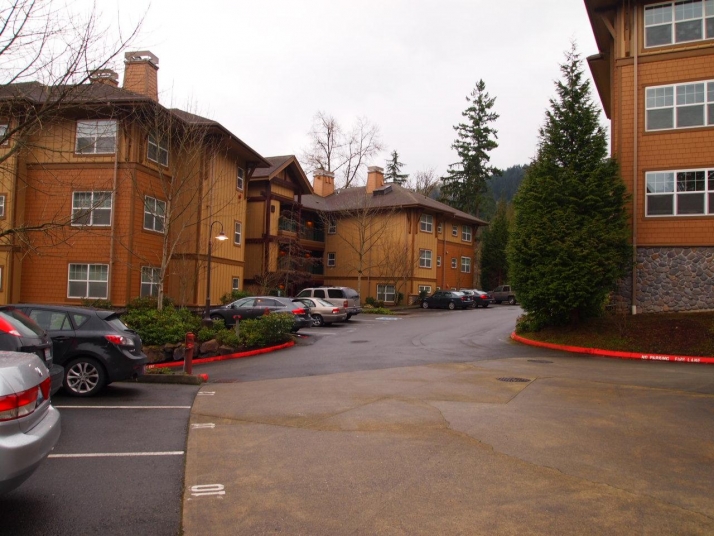 1000 Cabin Creek Ln Sw Apt C207, Issaquah, WA 98027