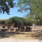 1805 Sandy Ln, Carlsbad, NM 88220 ID:498568