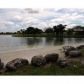 10391 SW 150 CT # 10106, Miami, FL 33196 ID:524399