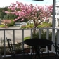 2500 S. 370th Street #169, Federal Way, WA 98003 ID:477139