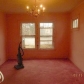 11693 Birwood St, Detroit, MI 48204 ID:144552