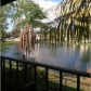 15665 SW 82 LN # 4, Miami, FL 33193 ID:487708