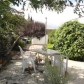 3131 Valley Rd. #78, National City, CA 91950 ID:399721