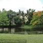 711 N Pine Island Rd # 212, Fort Lauderdale, FL 33324 ID:529752