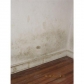 4686 Hawthorne St, Philadelphia, PA 19124 ID:504061