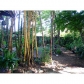 250 SW 19 RD, Miami, FL 33129 ID:477104