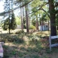 9592 W Pleasant Rd, Saint Helen, MI 48656 ID:312573