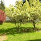 13414 Meridian Ave N, Seattle, WA 98133 ID:229006