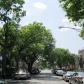 4333 West Adams Avenue, Chicago, IL 60624 ID:112520