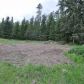 3714 E Bailey Rd, Chattaroy, WA 99003 ID:486186