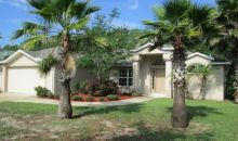 503 Nature Creek Ln New Smyrna Beach, FL 32168