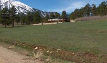 11656 County Rd 312 Walsenburg, CO 81089