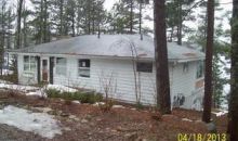 13310 Friendly Dr Wolverine, MI 49799