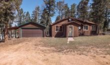 753 Will Stutley Dr Divide, CO 80814