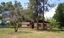 5515 Lake Le Clare Rd Lutz, FL 33558