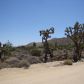 7986 Hopi Trl, Yucca Valley, CA 92284 ID:531816