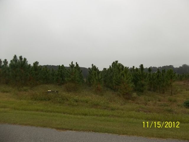 Lot 9 132nd Dr, Alachua, FL 32615