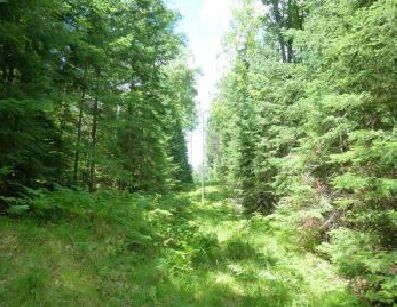 6 Acres Hansen Road, Sayner, WI 54560