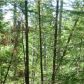 6 Acres Hansen Road, Sayner, WI 54560 ID:304181