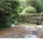 8716 Plantation Court Dr, Charleston, SC 29406 ID:659918