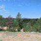 177 Donzi Trail, Florissant, CO 80816 ID:560277