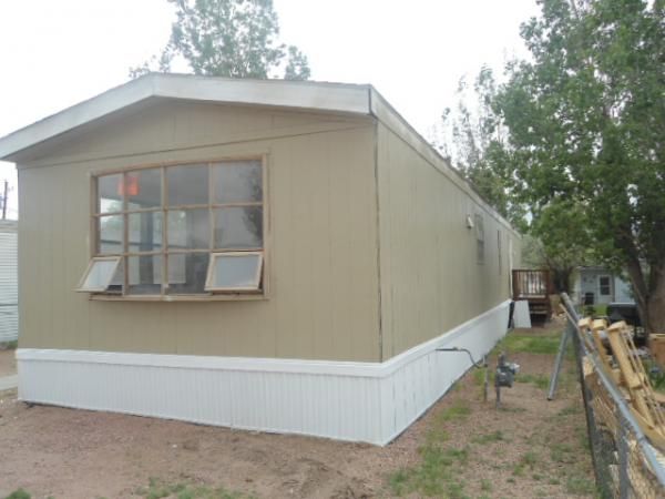 1025 Orchard Ave, Canon City, CO 81212