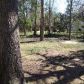 2040 Merrily Dr, Montgomery, AL 36111 ID:12868