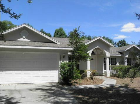 10542 Sunburst View Dr, Clermont, FL 34711