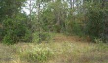 100 59th Ln Dunnellon, FL 34431