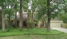 12 Cape Chestnut Dr Spring, TX 77381