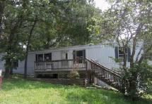 60 Silverlake Ln, Reeds Spring, MO 65737