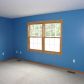 4149 E Pakes Rd, Stanton, MI 48888 ID:700183