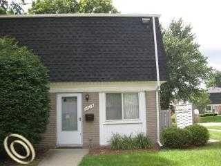 41115 S Woodbury 25, Belleville, MI 48111