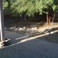 6747 N 75th Drive, Glendale, AZ 85303 ID:675387