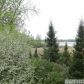 21020 Floral Bay Dr N, Forest Lake, MN 55025 ID:737054