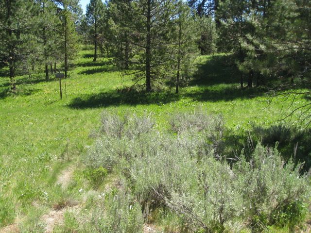 1912 Gold Dust Road, Cascade, ID 83611