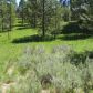 1912 Gold Dust Road, Cascade, ID 83611 ID:472389