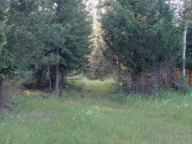 NNA Roop Rd, Cocolalla, ID 83813