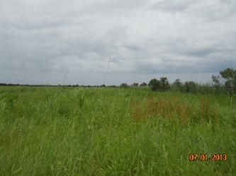 3rd Road, Labelle, FL 33935