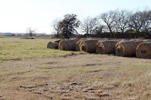 0 FM 3012, Wharton, TX 77488