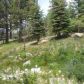 865 Majestic Pines Drive, Mammoth Lakes, CA 93546 ID:601820