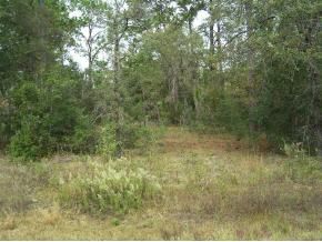 100 59th Ln, Dunnellon, FL 34431