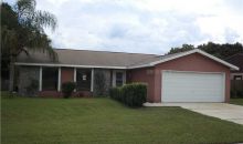 1405 Rustling Oaks Dr Brandon, FL 33510